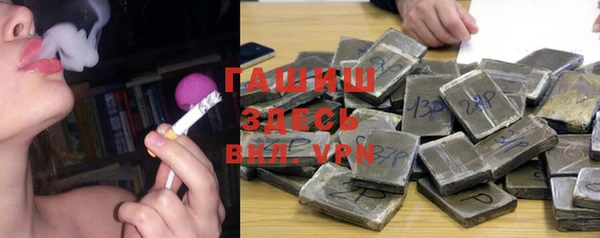 прущие грибы Верхний Тагил