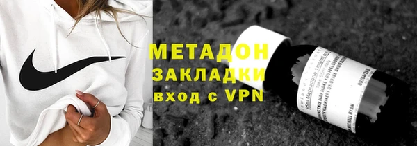 прущие грибы Верхний Тагил