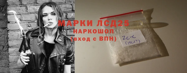 прущие грибы Верхний Тагил