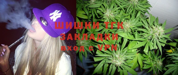 прущие грибы Верхний Тагил