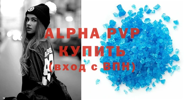 прущие грибы Верхний Тагил