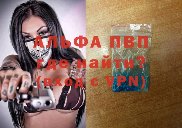 прущие грибы Верхний Тагил